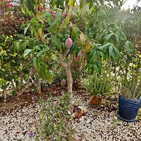 - Spacious Beachside *